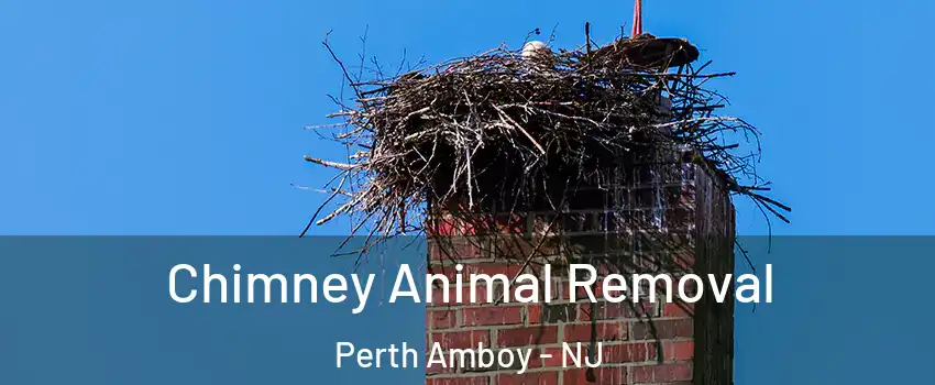  Chimney Animal Removal Perth Amboy - NJ