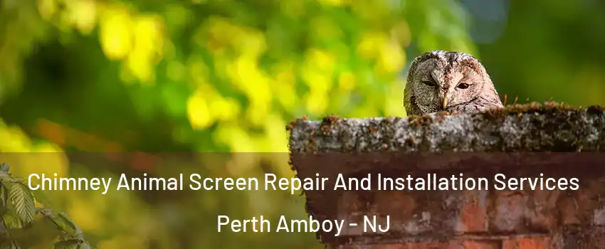  Chimney Animal Screen Repair And Installation Services Perth Amboy - NJ