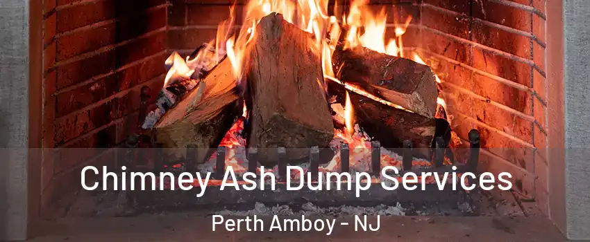  Chimney Ash Dump Services Perth Amboy - NJ