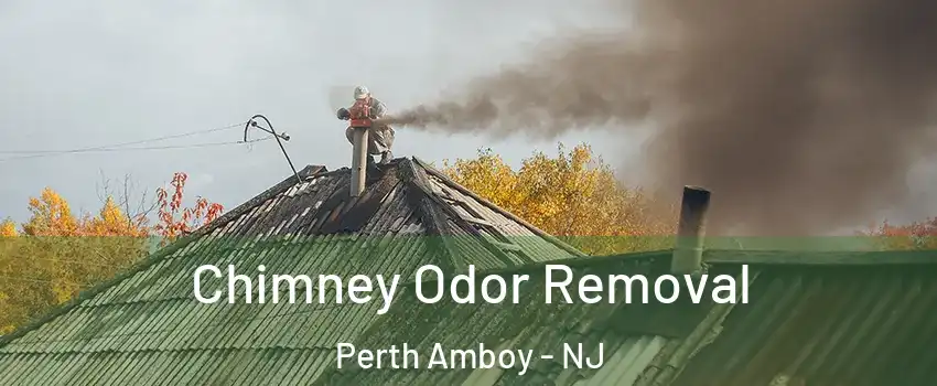  Chimney Odor Removal Perth Amboy - NJ