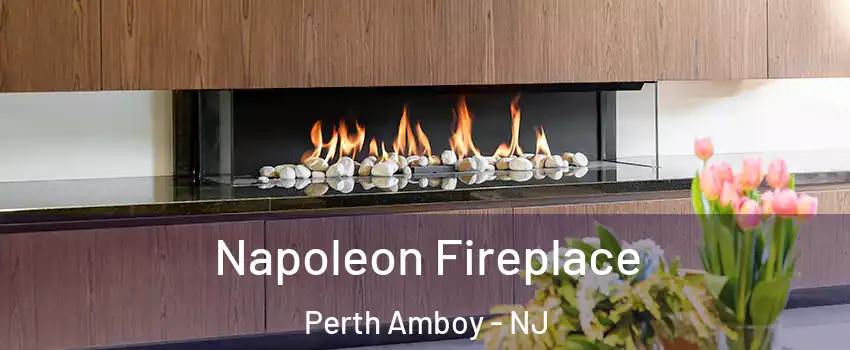  Napoleon Fireplace Perth Amboy - NJ